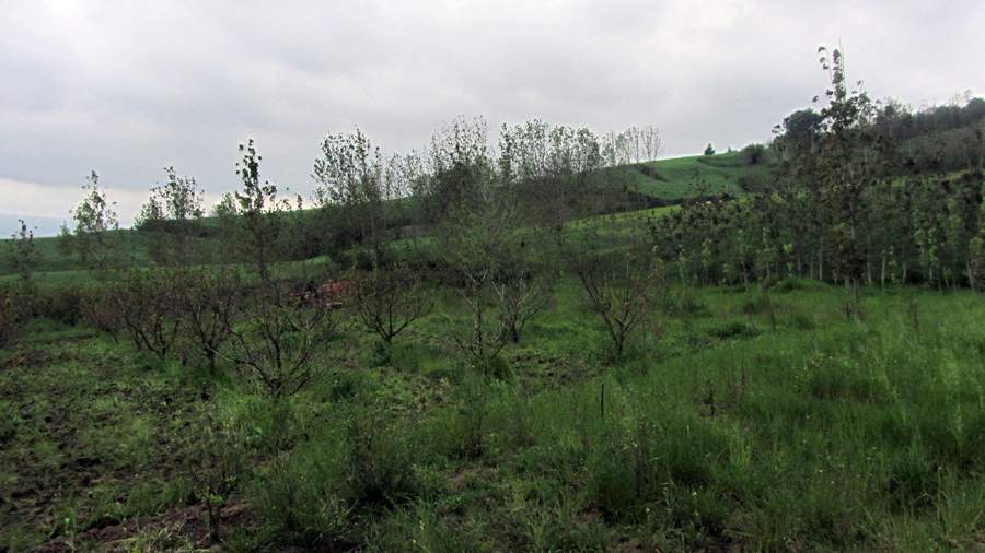 9_42_.JPG (900×506)