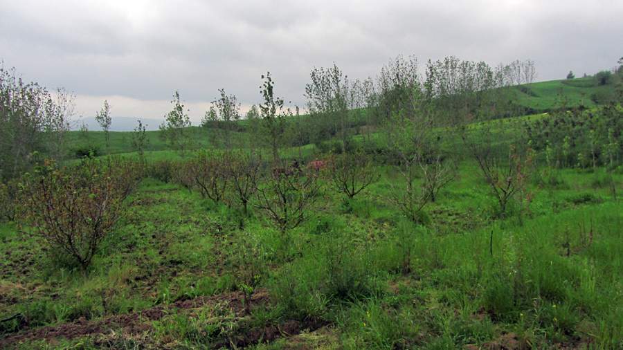 9_43_.JPG (900×506)