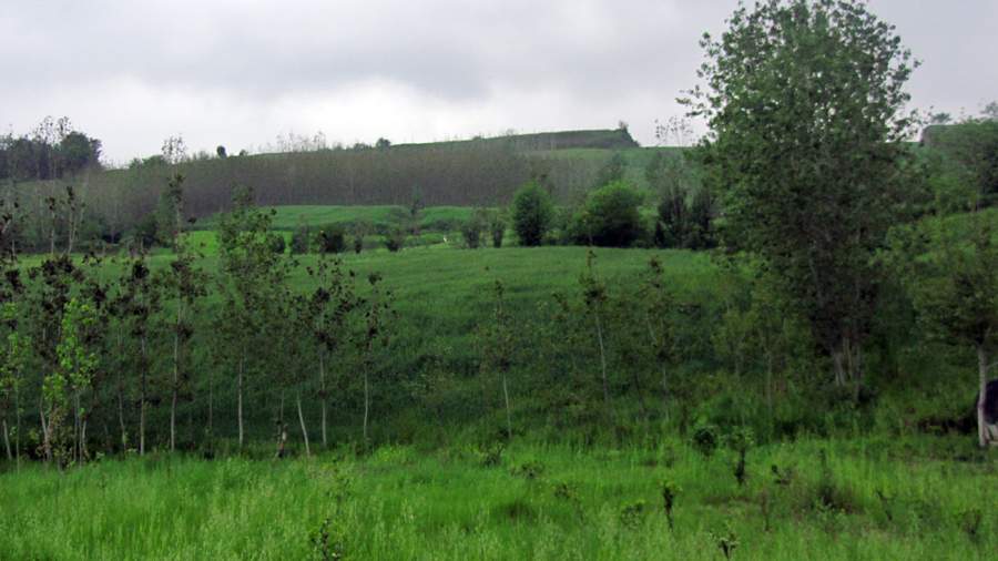 9_44_.JPG (900×506)