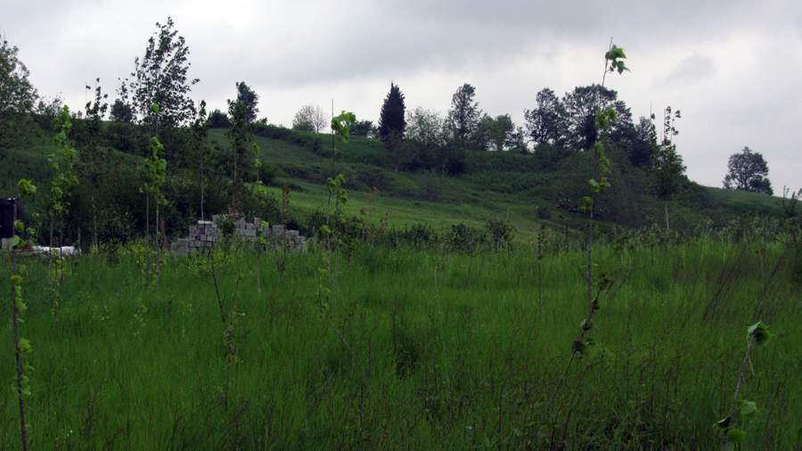 9_46_.JPG (900×506)