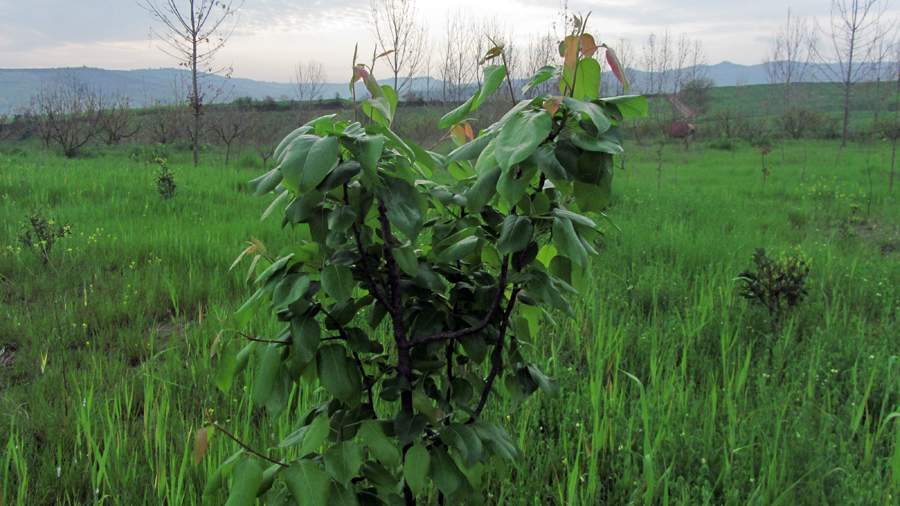 3_11_.jpg (900×506)