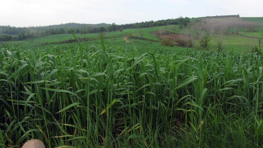 3_14_.jpg (900×506)