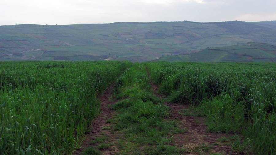 3_16_.jpg (900×506)