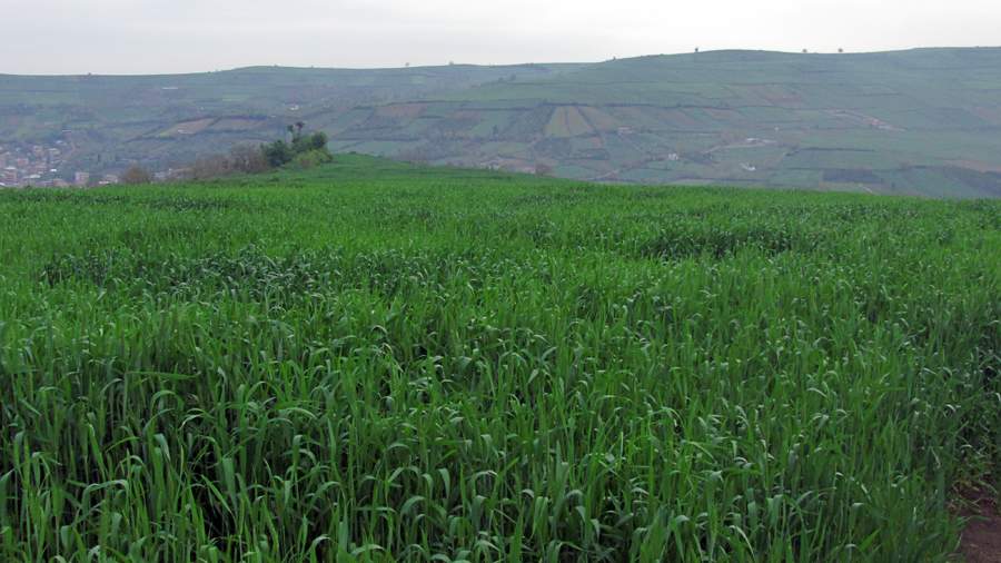 3_17_.jpg (900×506)