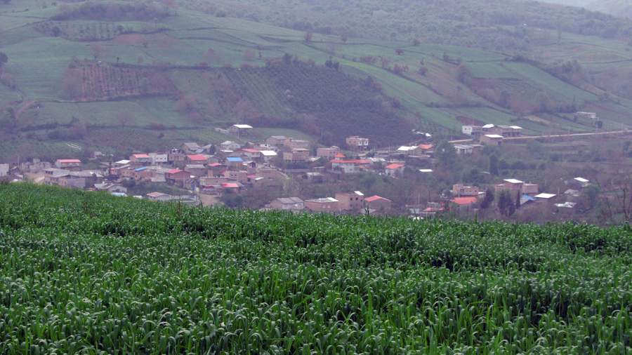 3_18_.jpg (900×506)