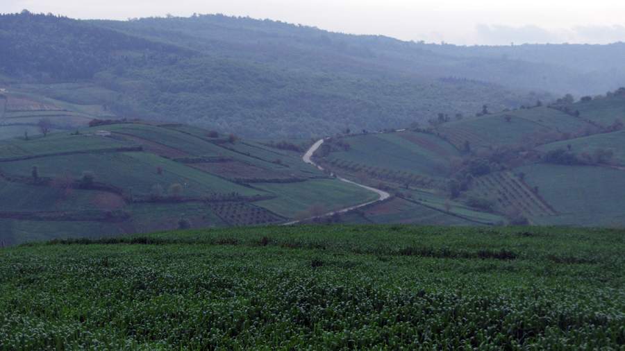 3_19_.jpg (900×506)