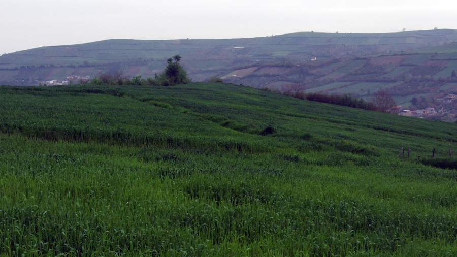 3_20_.jpg (900×506)