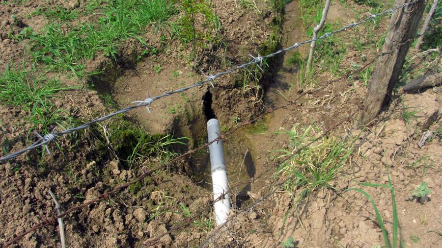 3_22_.jpg (900×506)