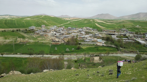 روستای معصوم آباد
