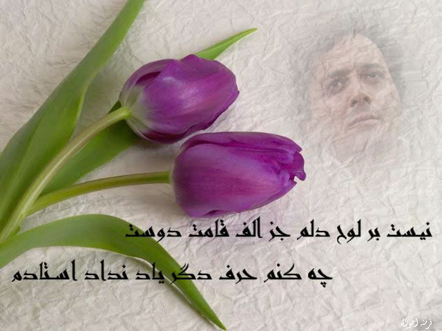 استاد زندگی روزتان مبارک استاد زندگی روزتان مبارک