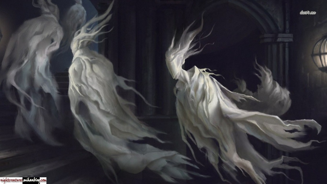 58.jpg (1366×768)