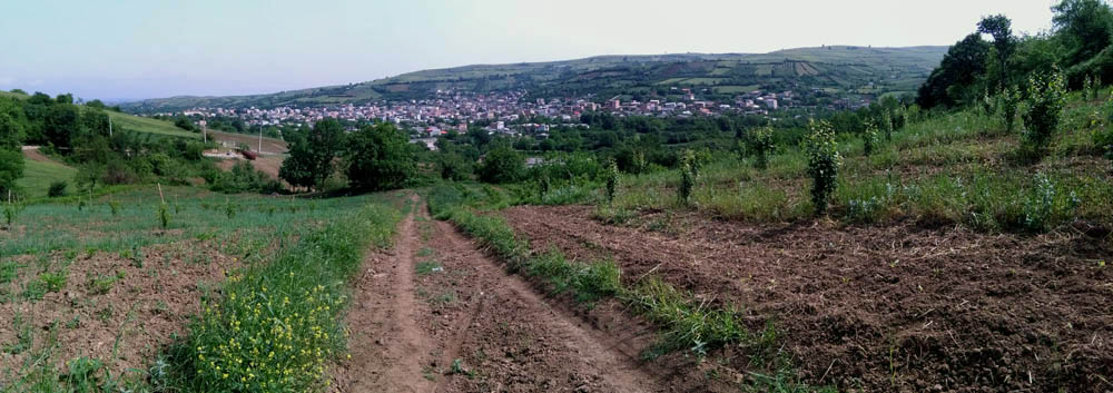 IMG_20160506_101537.jpg (1000×353)