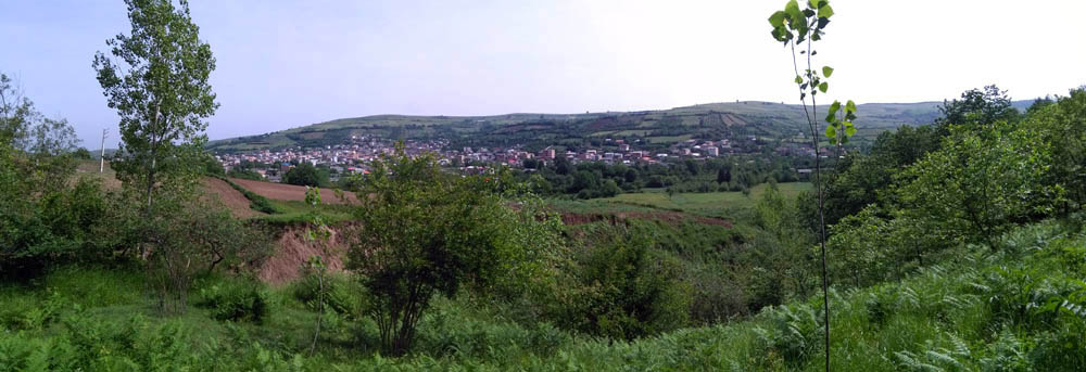 IMG_20160506_101843.jpg (1000×343)