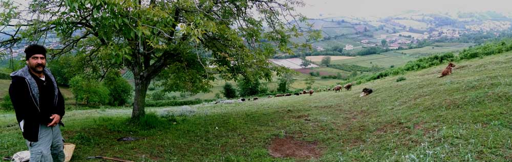 1_3_.jpg (1000×317)