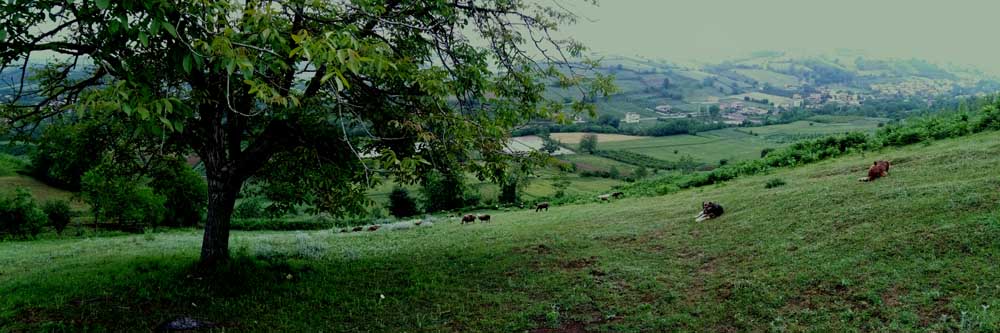 1_4_.jpg (1000×333)