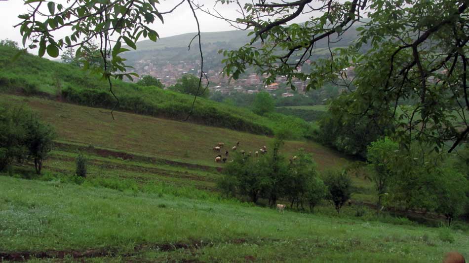 1_10_.JPG (950×534)