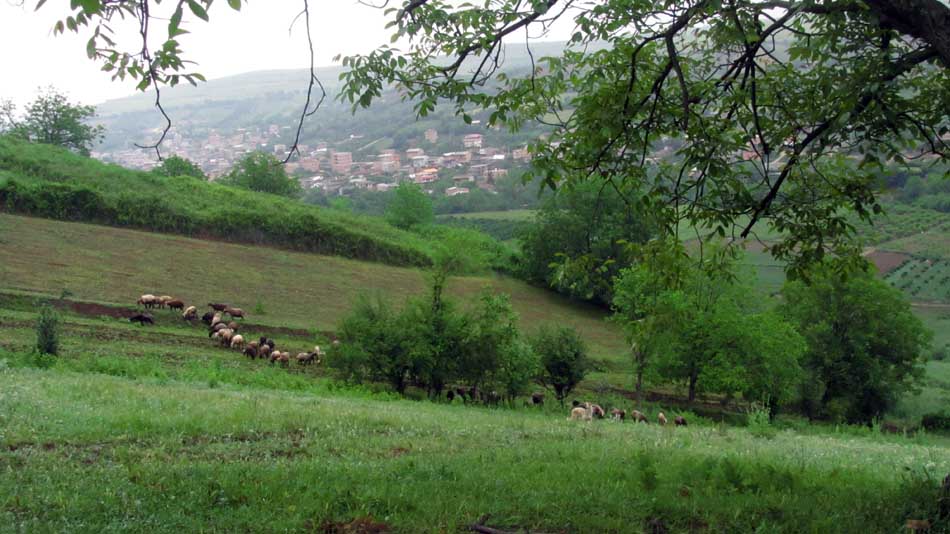 1_13_.JPG (950×534)