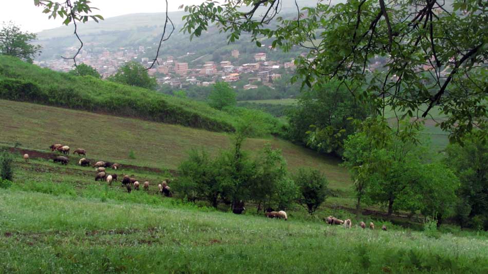 1_14_.JPG (950×534)