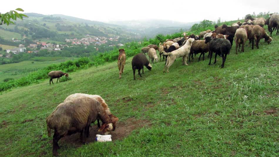 1_27_.JPG (950×534)