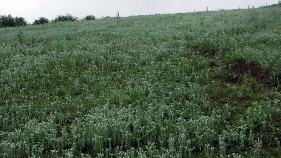 1_35_.JPG (950×534)