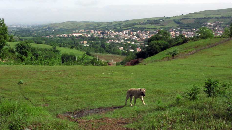 1_42_.JPG (950×534)