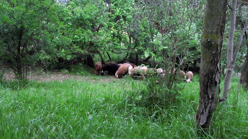 1_44_.JPG (950×534)