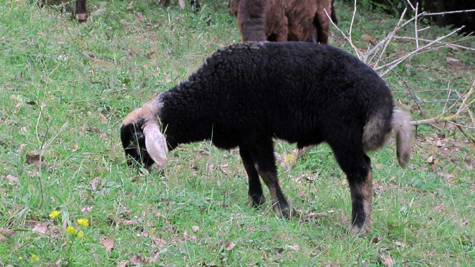 1_54_.JPG (950×534)