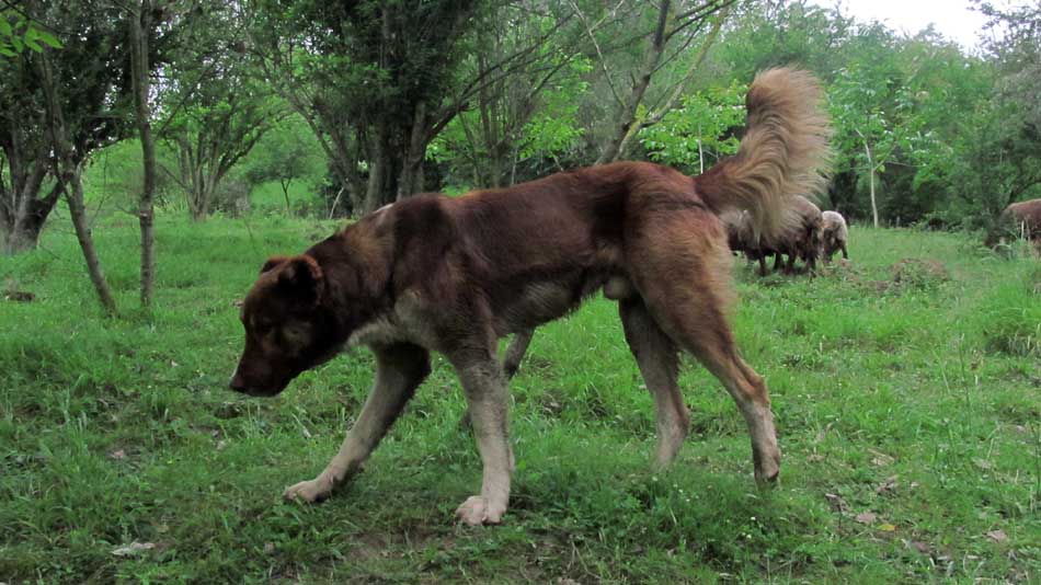 1_56_.JPG (950×534)