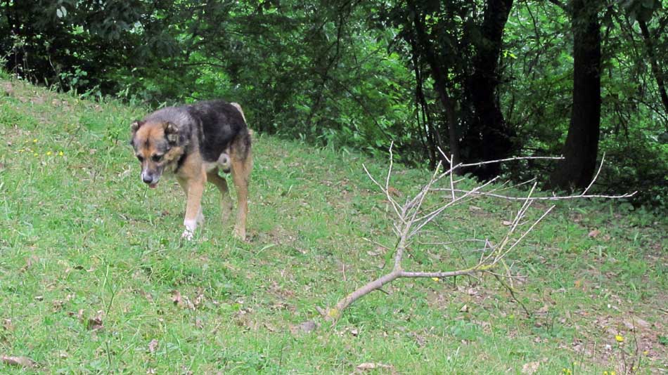 1_81_.JPG (950×534)