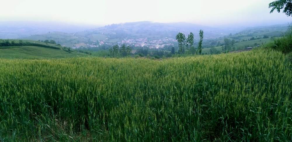 IMG_20160507_103816.jpg (1000×487)