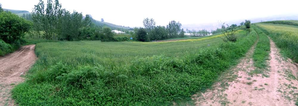 IMG_20160507_103910.jpg (1000×356)