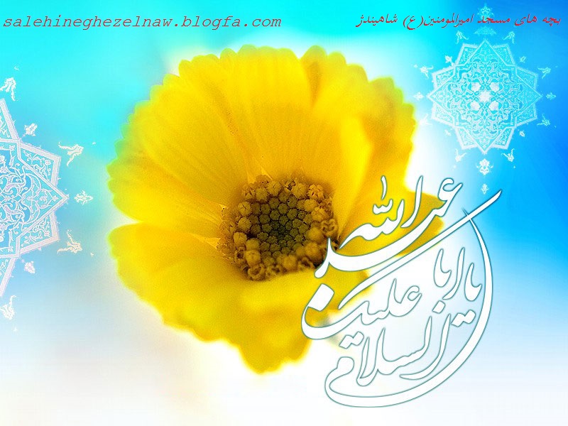 http://s7.picofile.com/file/8250795618/salehineghezelnaw_blogfa_com.jpg