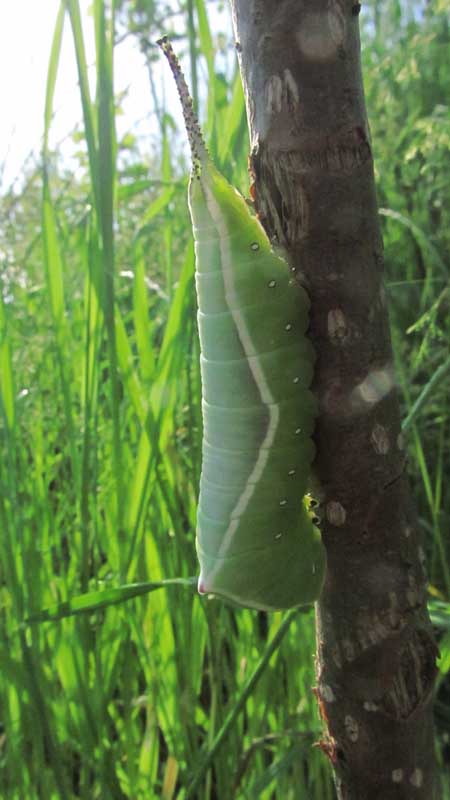 1_24_.JPG (450×800)