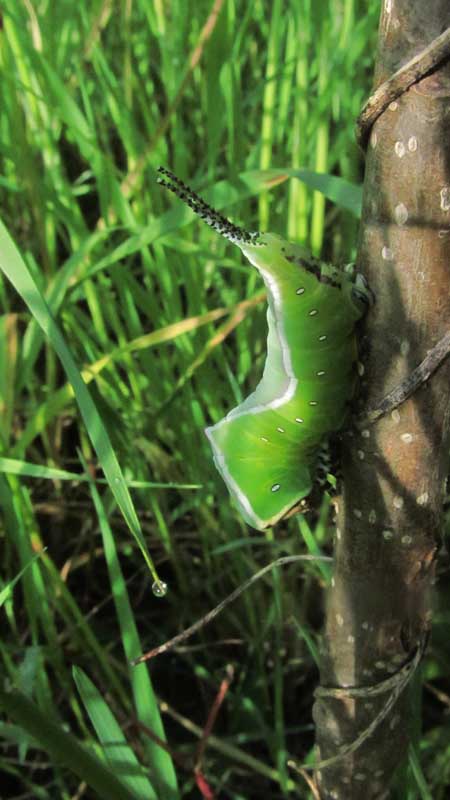 1_34_.JPG (450×800)