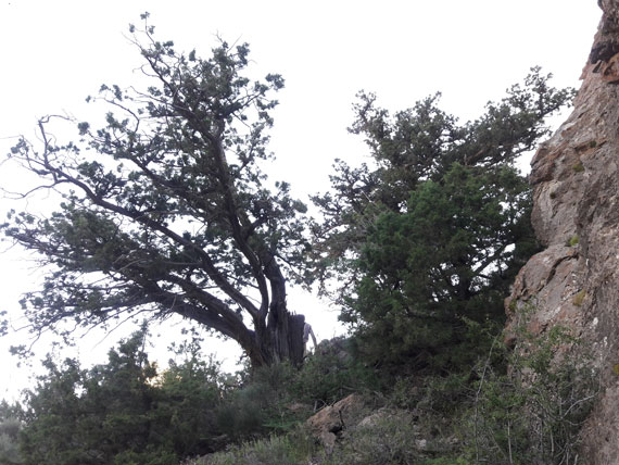 کوه بهار جلوه‌ای منحصربه‌فرد از هنرنمایی طبیعت / تصاویر