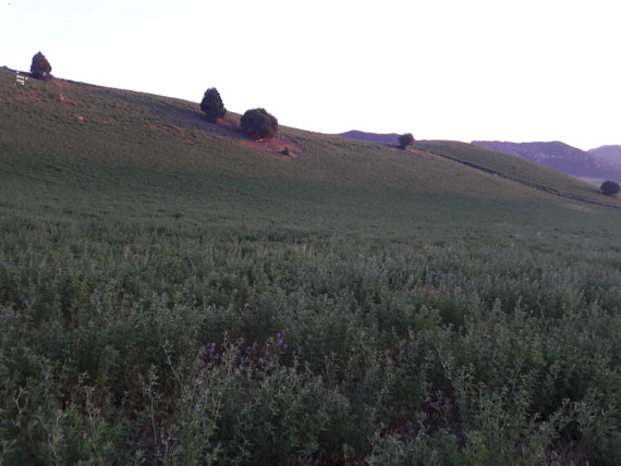 کوه بهار جلوه‌ای منحصربه‌فرد از هنرنمایی طبیعت / تصاویر