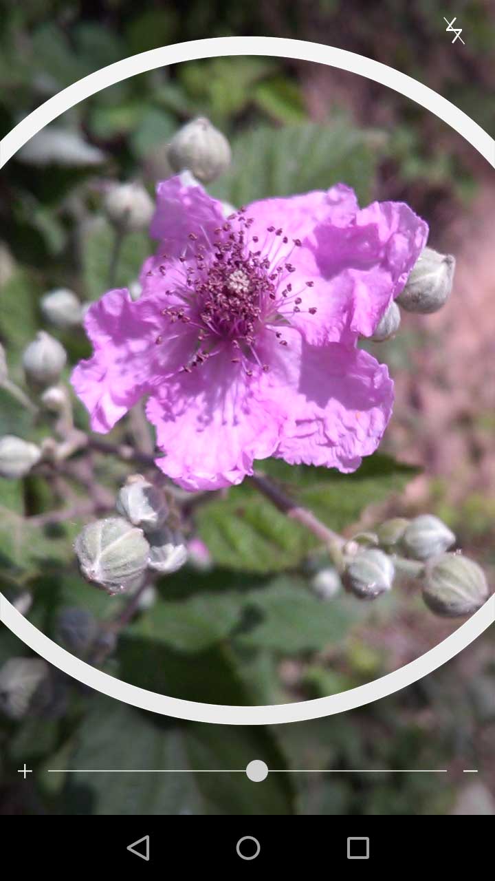 2_20_.jpg (720×1280)