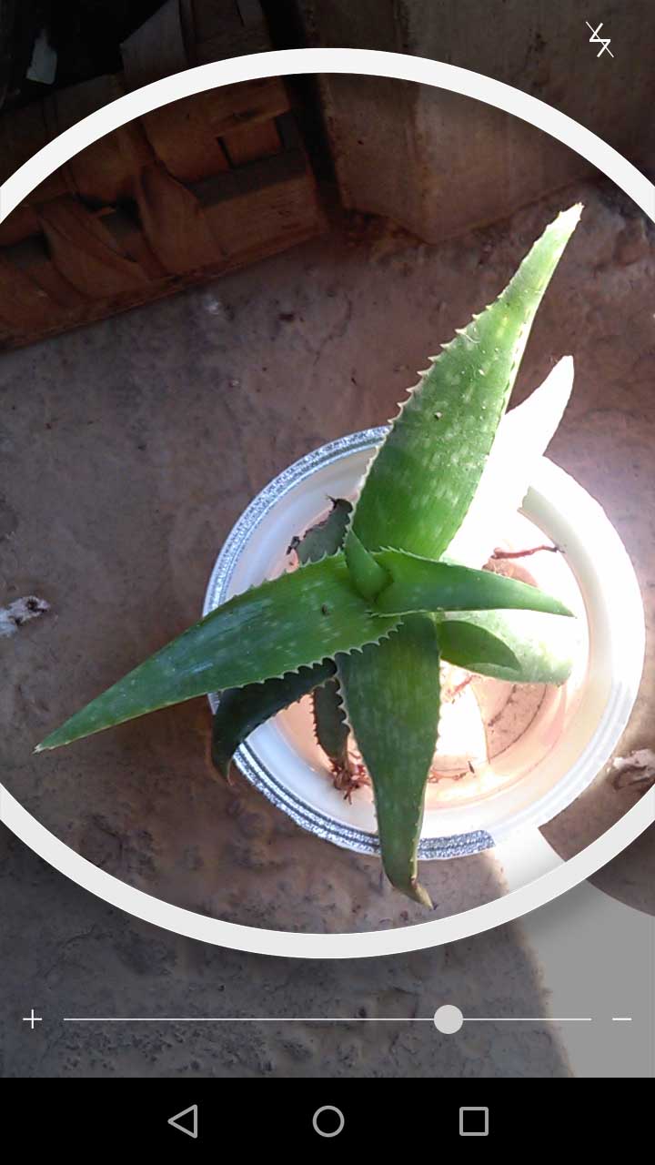 2_31_.jpg (720×1280)