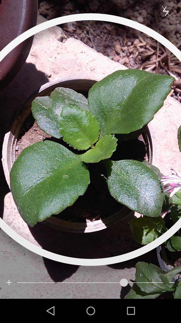 2_33_.jpg (720×1280)