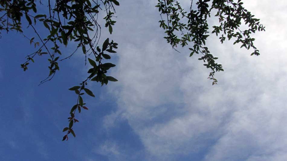 2_39_.jpg (950×534)