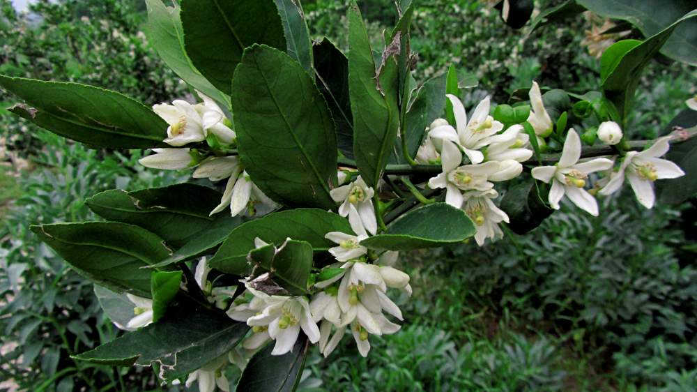 1_1_.jpg (1000×562)