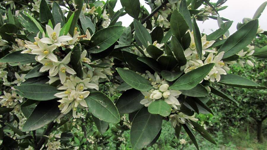 1_12_.jpg (900×506)