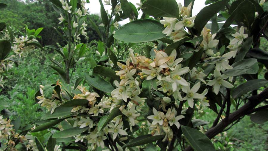 1_13_.jpg (900×506)