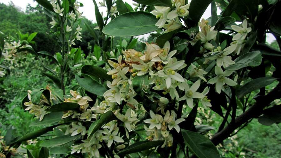 1_14_.jpg (900×506)