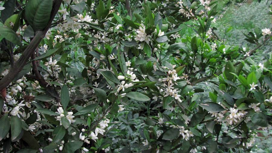 1_15_.jpg (900×506)