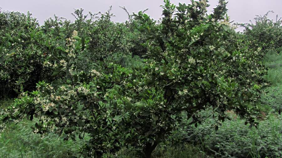 1_16_.jpg (900×506)