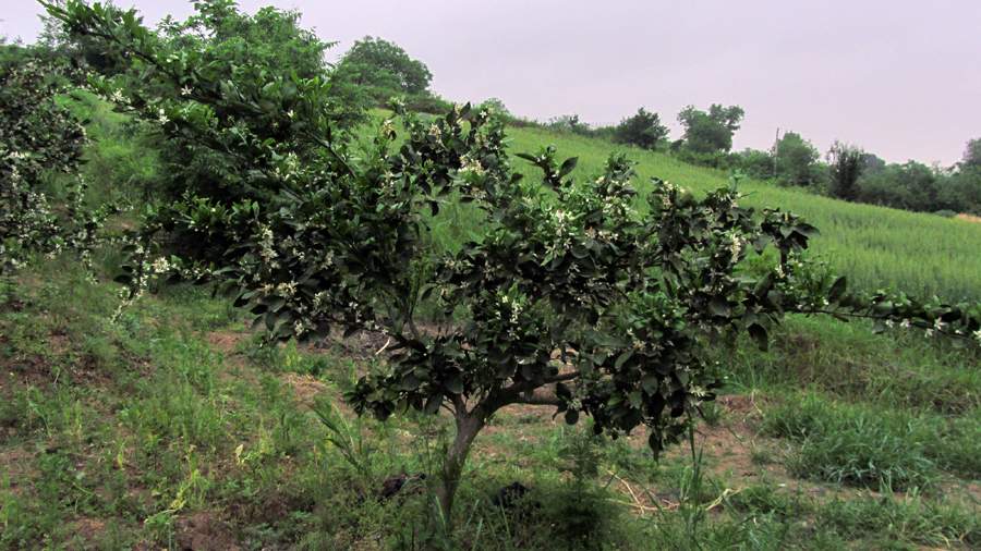 1_17_.jpg (900×506)