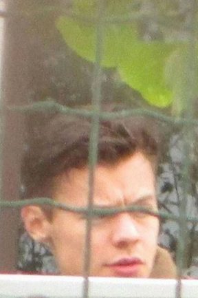 http://s7.picofile.com/file/8251770468/698482_HARRY1_aea279d7d160257eb680cf642b053d67.jpg