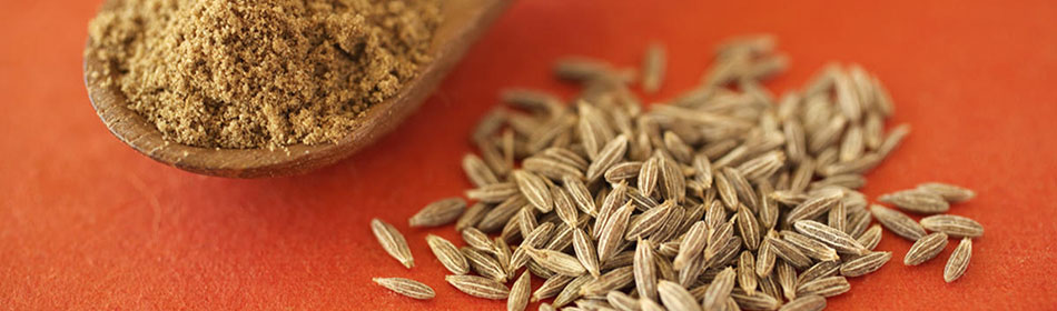 Iran Green Cumin