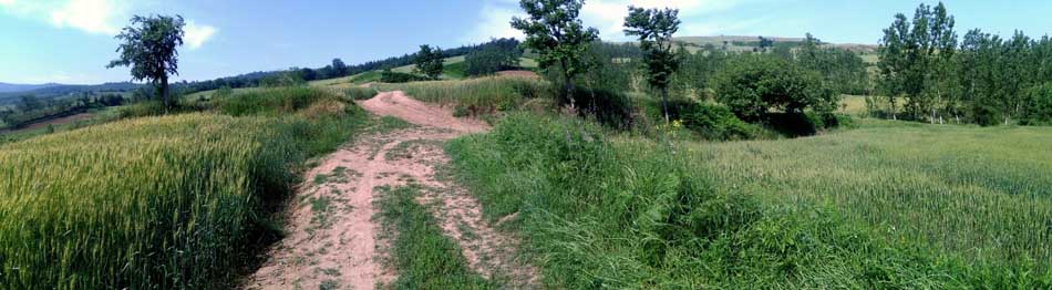 IMG_20160513_095413.jpg (950×262)